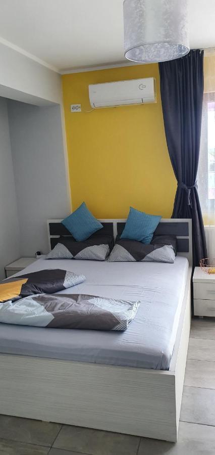 Garsoniera Vila Marie Apartment Navodari Bagian luar foto