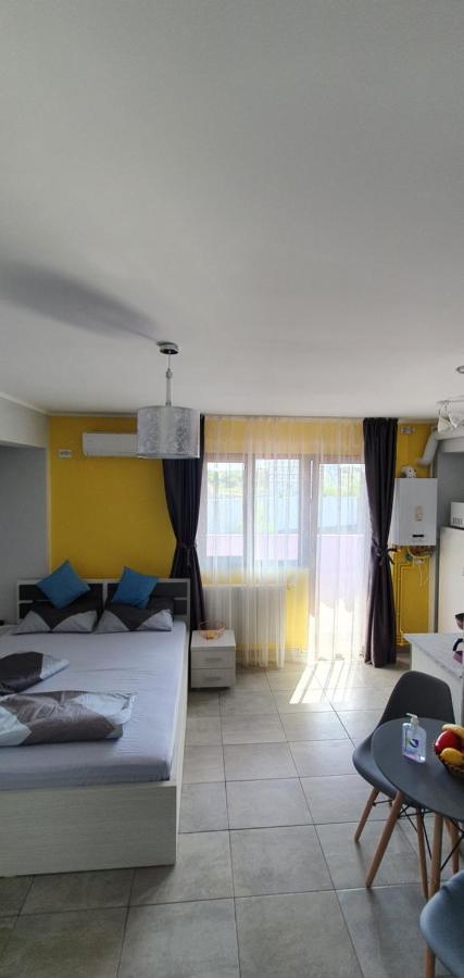 Garsoniera Vila Marie Apartment Navodari Bagian luar foto