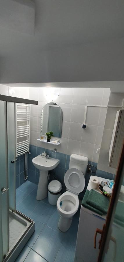 Garsoniera Vila Marie Apartment Navodari Bagian luar foto